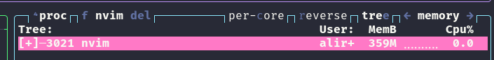 neovim usage in btop, showing 359MB of RAM usage