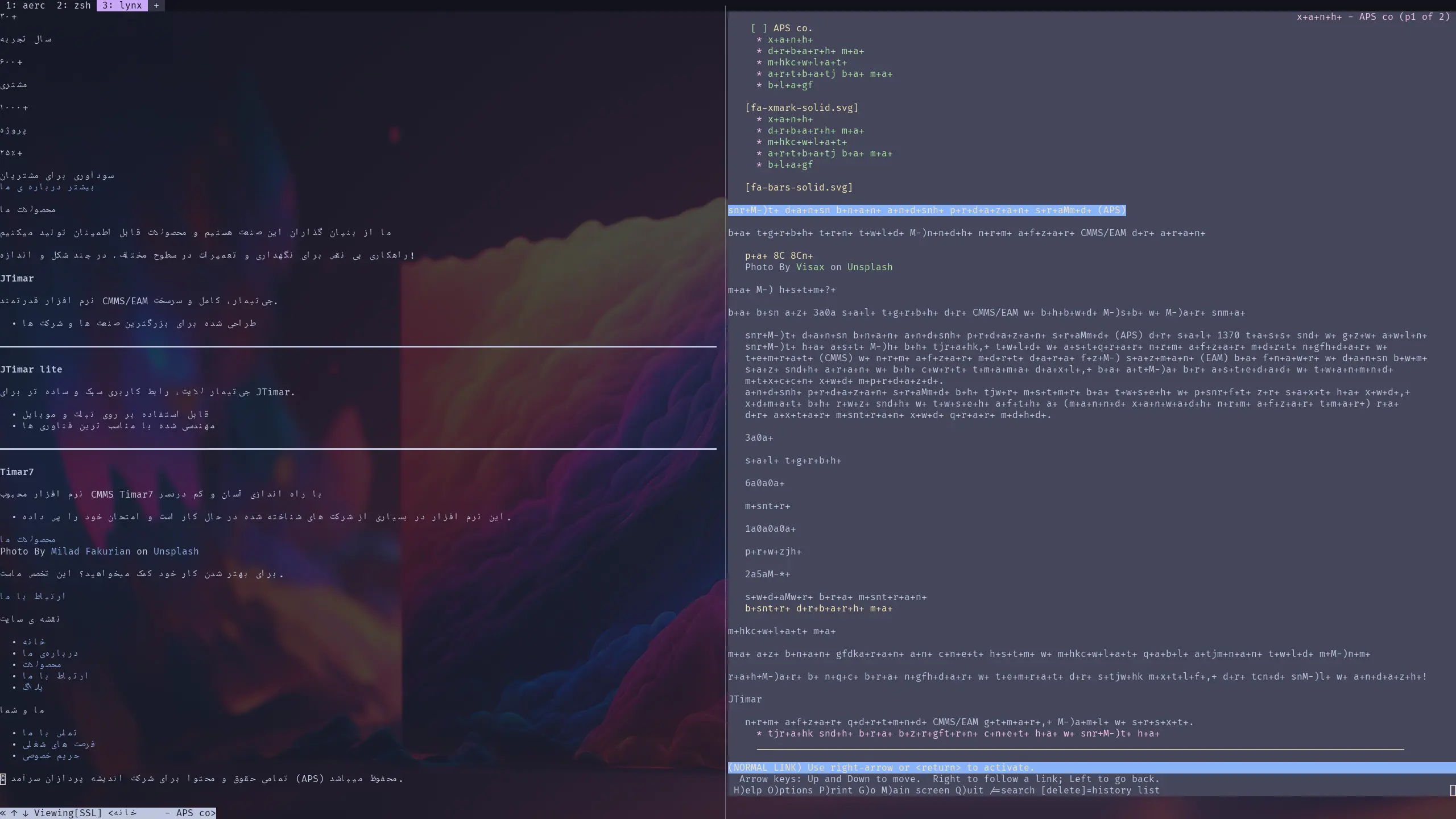 Comparison of w3m and lynx with RTL text